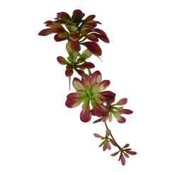 Direct Export Co. Succulent Hanging Pick