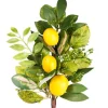 CRI Three Lemon Sprig