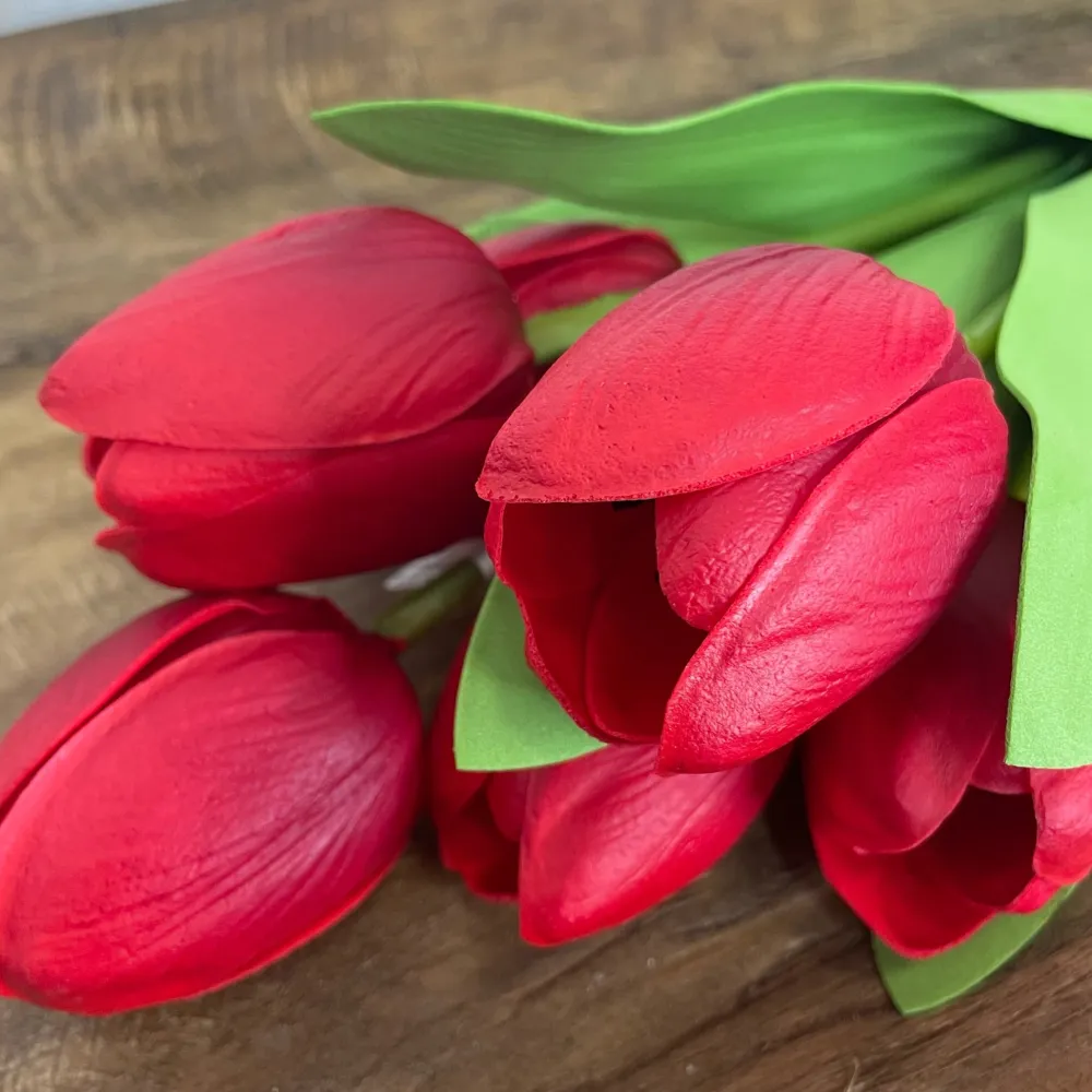 CRI Tulip Bundle, Red