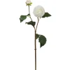 Winward White Dahlia Duo Spray
